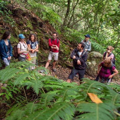 Anaga Biofest/ canariasnoticias.es