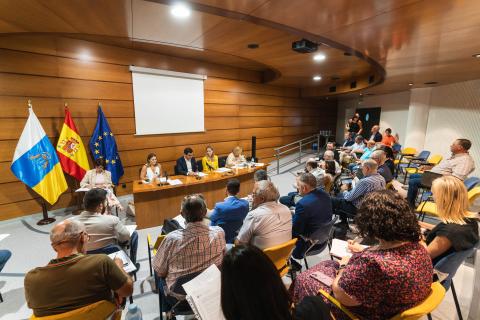 Mesa del Transporte Terrestre de Canarias