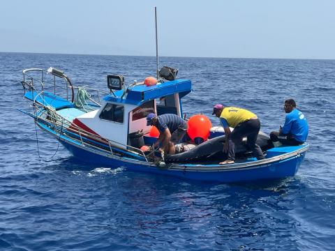 Cofradía de pescadores / CanariasNoticias.es 