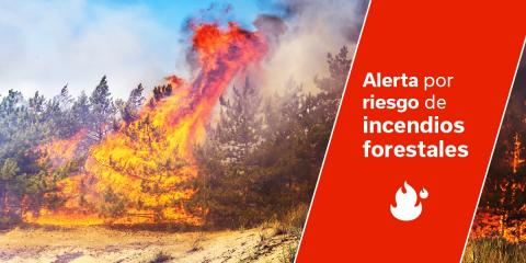 alerta por riesgo de incendios forestales en Gran Canaria