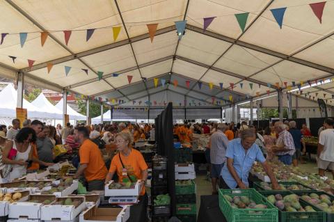 Feria del Mango y Aguacate de Verano de Mogán / CanariasNoticias.es 