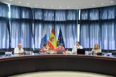 Comisión de Economía Social de Canarias
