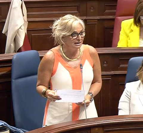 Esther Monzón durante su intervención en el Parlamento/ canariasnoticias.es
