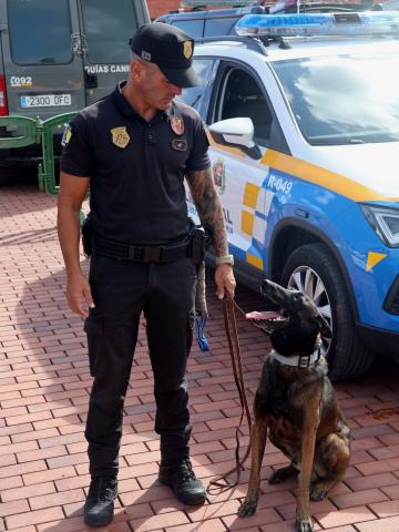 Seal, pastor belga de la Unidad Canina