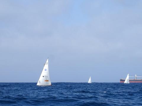 Vela Latina Canaria / CanariasNoticias.es