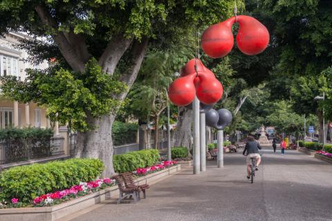 Rambla de Santa Cruz / CanariasNoticias.es 