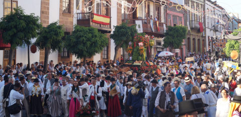 Romería-Ofrenda a la Virgen del Pino