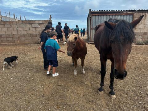 Escolares de La Laguna con caballos 