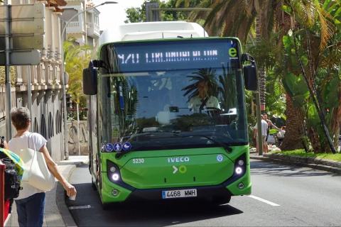 Guagua/ canariasnoticias.es