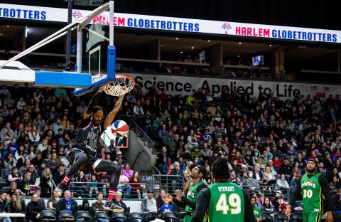 Harlem Globetrotters Harlem Globetrotters