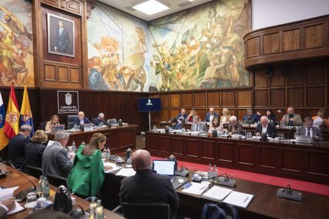 Pleno del Cabildo de Gran Canaria / CanariasNoticias