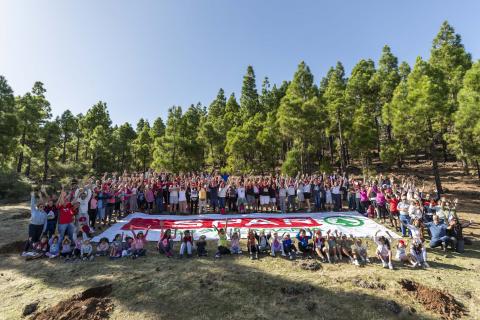Reforestación de Spar Gran Canaria / CanariasNoticias