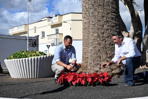 Plantación de flores de pascua / CanariasNoticias