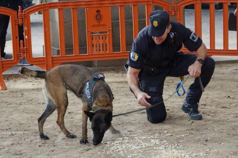 Unidad canina 