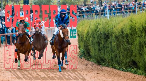 Carrera de caballos