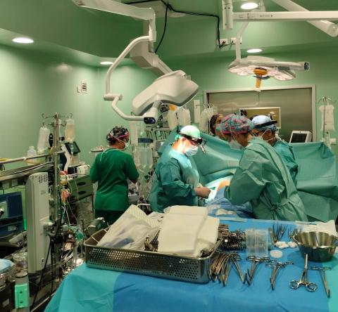 Trasplantes. Doctor Negrín/ canariasnoticias.es