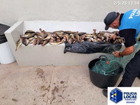 Pesca ilegal 
